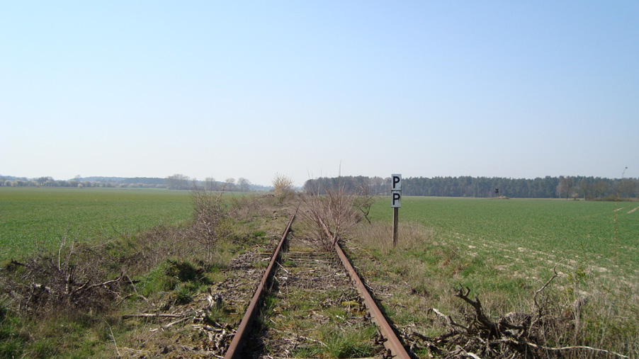 zwischen östlichem und westlichem Weg Döllnitz - Grützland