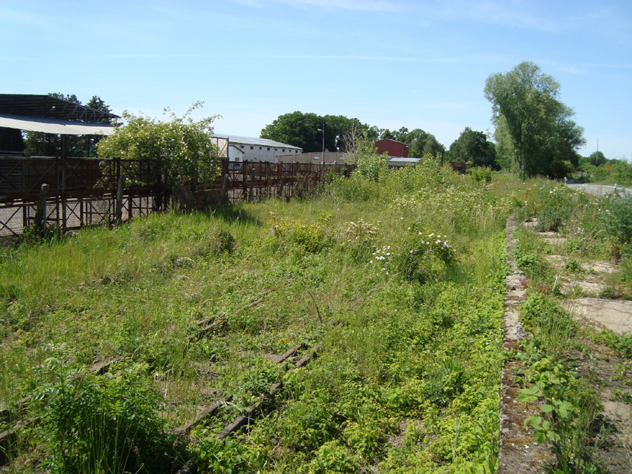 Abzweig Industriegleis, Weiche