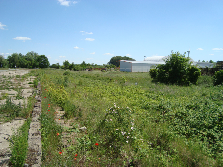 Hohenwulsch Güterbahnhof, Blick auf Abzweig Industriegleis