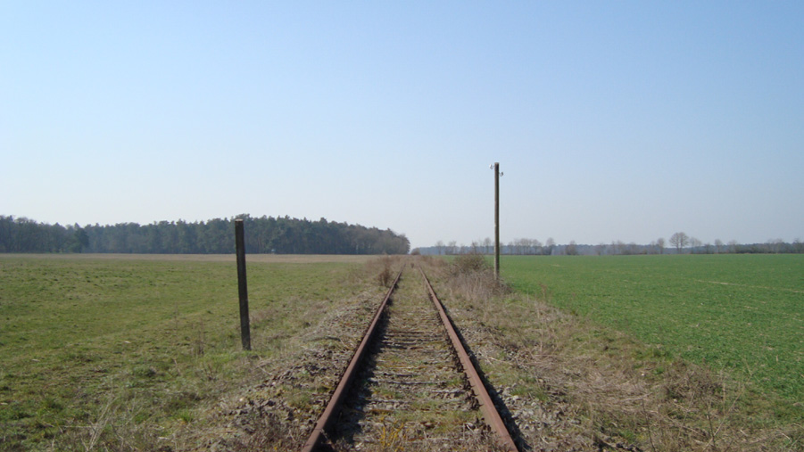 zwischen südwestlich von Siedlung West und Bahnübergang von Döllnitz nach Grützland
