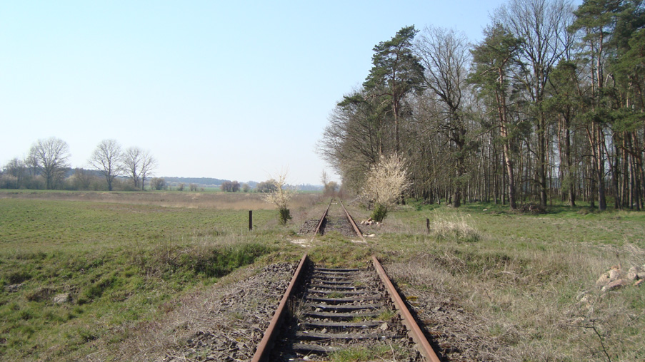 kurz vor Wald südlich von Poritz
